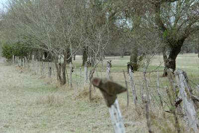 Texas -Bandera Boot fence2.JPG